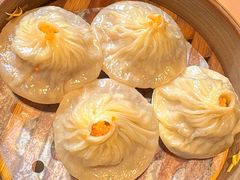 -点都德·毕德寮