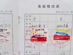 -动物缘宠物医院·骨科·猫科(西二环店)