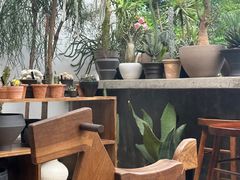 -自由生长植物工作室(深港花卉中心店)