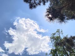 -长春市南湖公园