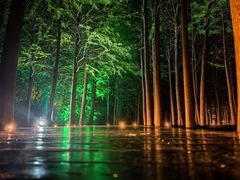 -云龙湖旅游景区