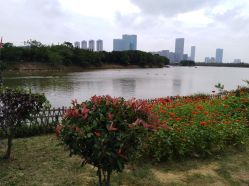 -嘉悦时光玺悦阁月子中心(九龙湖店)