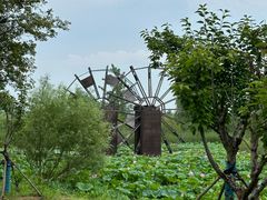 -泗洪洪泽湖湿地景区