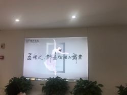 -单色舞蹈
