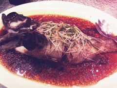 清蒸石斑鱼-頂好酒家·经典粤菜(海信广场店)