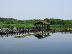 -溱湖国家湿地公园