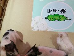 -北国商城
