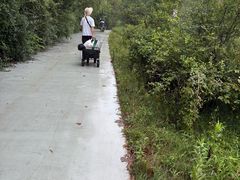 -日照海滨国家森林公园