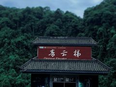 -碧峰峡风景区