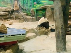 -灵玲国际马戏城