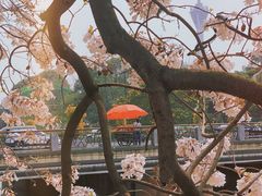 -红星桥(地铁站)