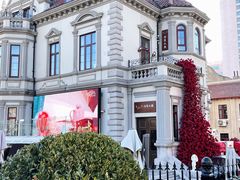 -丰顺烧烤家常菜(台东店)