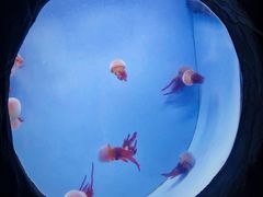 -常州海昌海洋探索馆