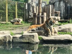 -上海野生动物园