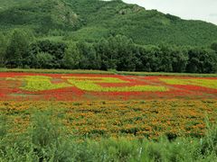 -塞罕坝国家级自然保护区