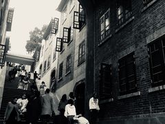 -武汉大学-樱园