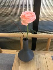 -FineYoga梵音瑜伽·普拉提