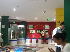 -上海昆虫博物馆