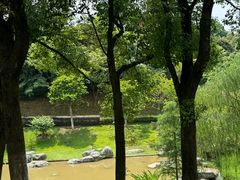 -东莞植物园