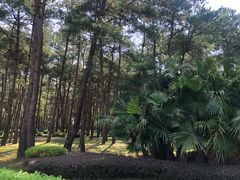 -Club Med地中海俱乐部·桂林度假村