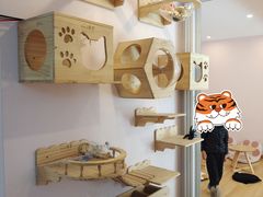 -猫咪派对(江南西店)