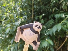 -北京动物园熊猫馆