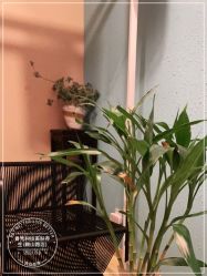 点击看大图 -香秀空间科技抗衰·美容中心
