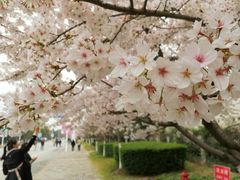 -公益图书馆(江南大学店)