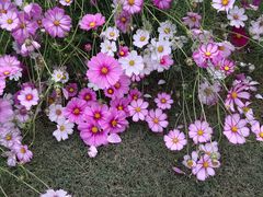 -天目湖涵田度假村