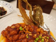 松子桂鱼-和平饭店·龙凤厅 Dragon Phoenix