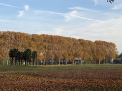 -河南省黄河迎宾馆