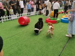 -东莞松山湖万象汇