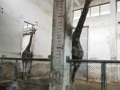 -辛玛王国游乐园