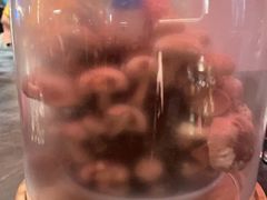 -捞王猪肚鸡火锅(金华义乌之心店)