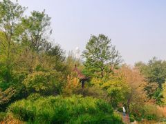 -大连植物园