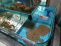 -渔码头食府·20年蓬莱老字号(登州路店)