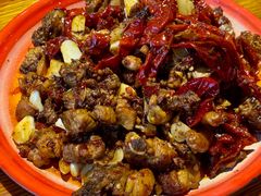 -柴窝堡22号辣子鸡·传承新疆菜