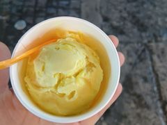 -iceason爱茜茜里·意大利健康冰淇淋(骑龙巷店)