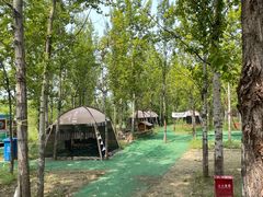 -野鸭湖国家湿地公园