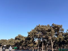 -北陵公园