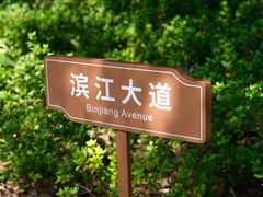 -上海滨江森林公园