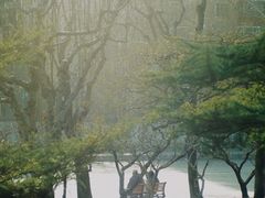 -团结湖公园