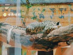 -青藏高原野生动物园