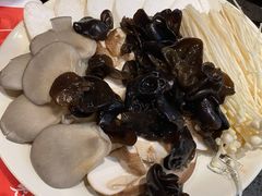菌类拼盘-宽板凳老灶火锅(外馆斜街店)