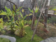 -武汉动物园