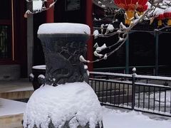 -颐和园