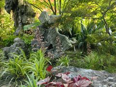 -上海醉白池公园