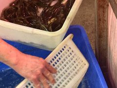 -金海椒罐罐鲢鱼(东方桂苑店)