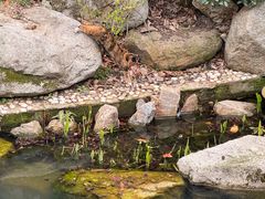 -南京东郊国宾馆