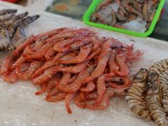 -东河市场